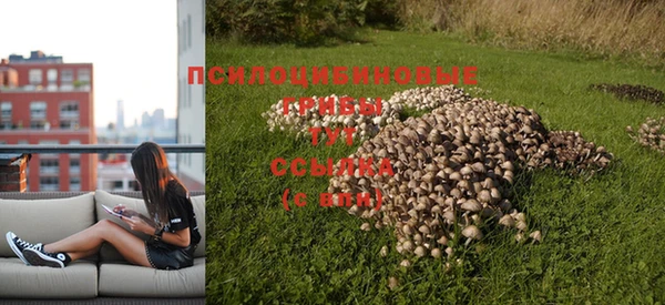 ГАЛЛЮЦИНОГЕННЫЕ ГРИБЫ Алексин