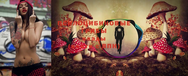 ГАЛЛЮЦИНОГЕННЫЕ ГРИБЫ Алексин