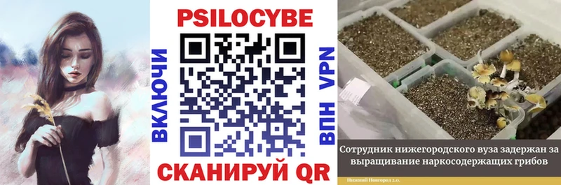 mega рабочий сайт дарк нет формула Псилоцибиновые грибы Cubensis Еманжелинск